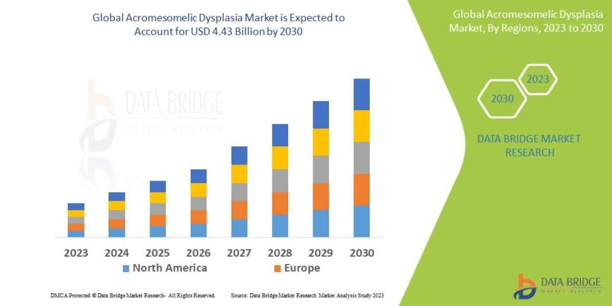 Acromesomelic Dysplasia Market: Insights and Competitive Analysis