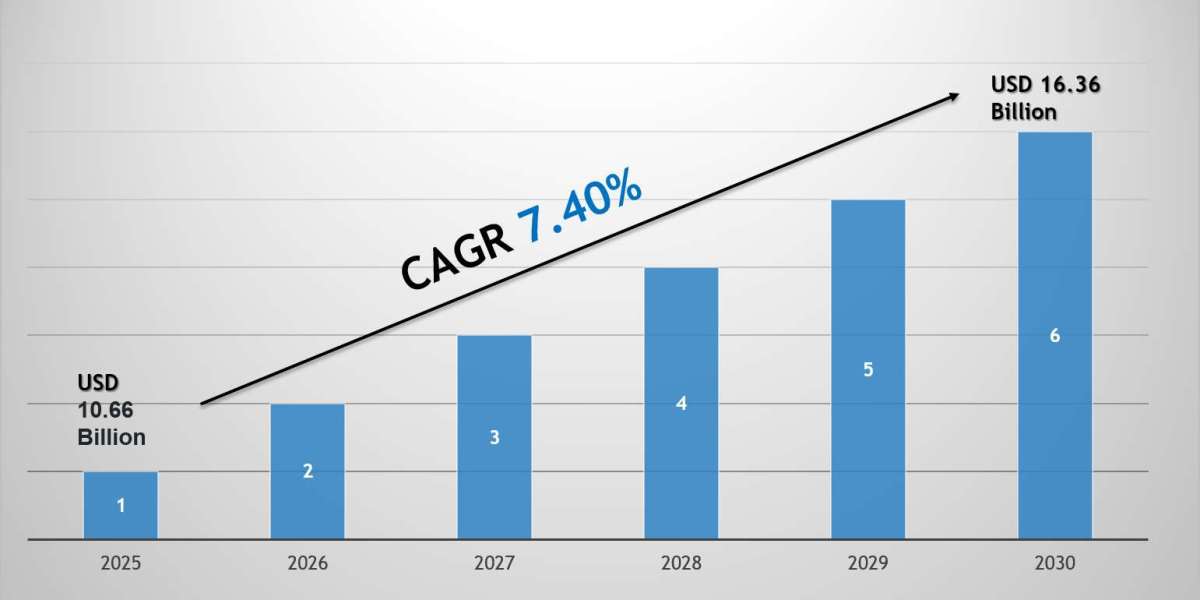 Hyaluronic Acid Market 2030: Key Companies, Player Strategies & Forecast