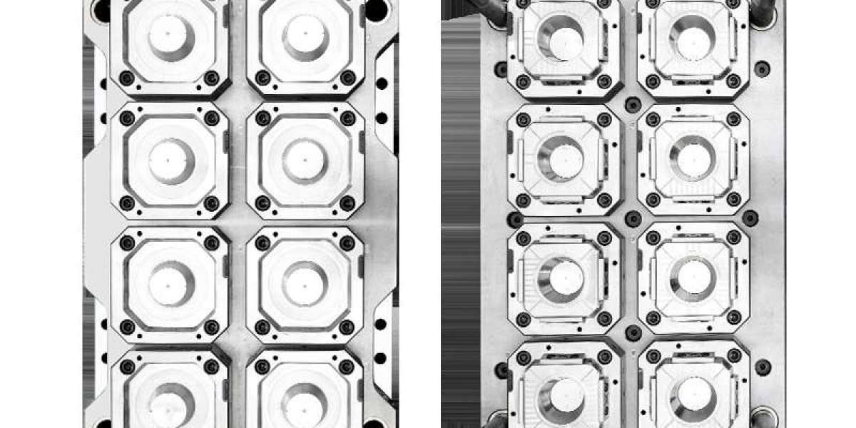 The Functional Design of a Plastic Container Mould