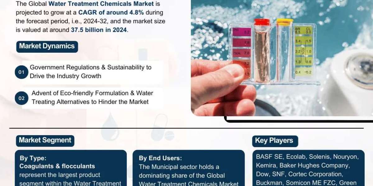 Water Treatment Chemicals Market 2032: Size, Share, Growth Trends & Forecast – The Report Cube