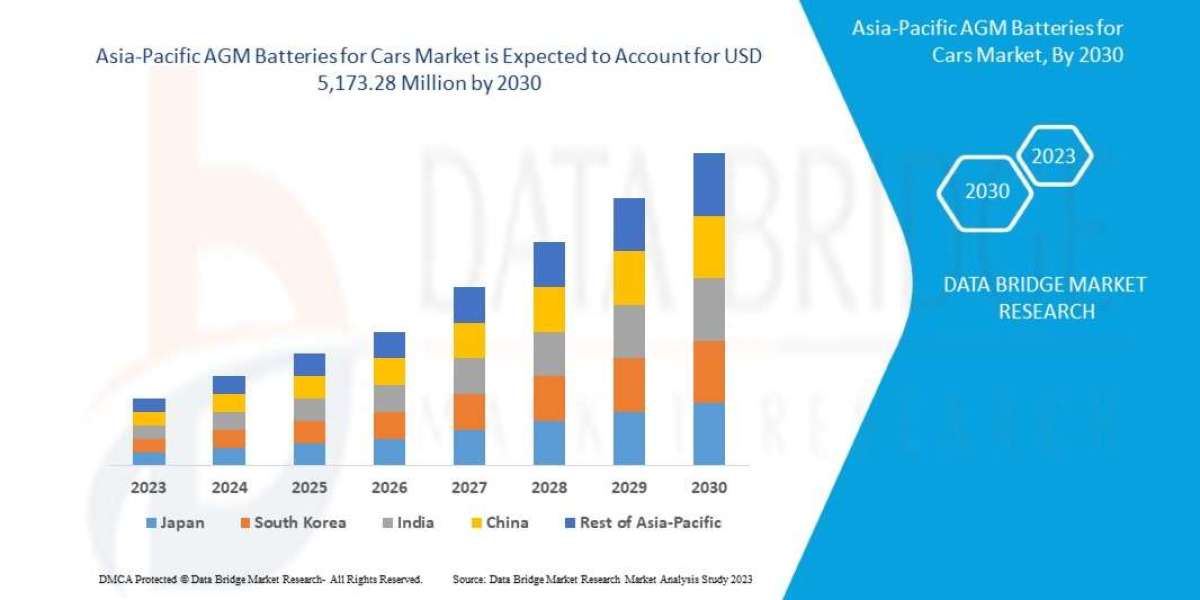 Asia-Pacific AGM Batteries for Cars Market Overview: Key Drivers and Challenges