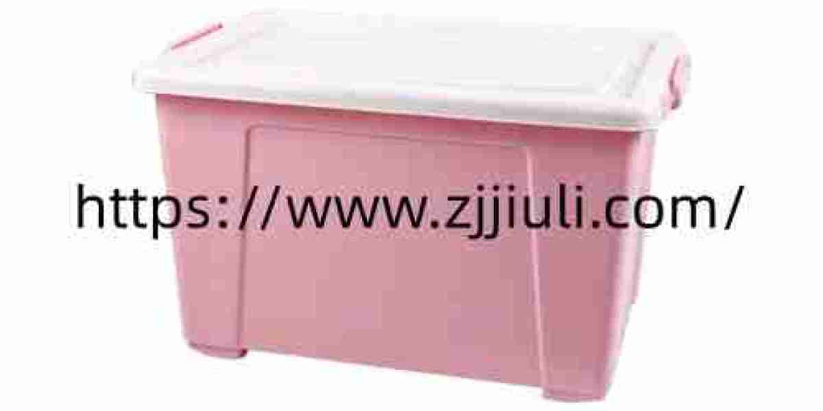 Which Zhiguangplastic Home Organization Box Features Support Daily Storage